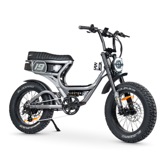 ACE PRO Electric Bike