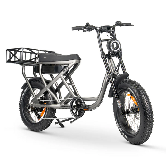 ACE-S Cargo MAX Electric Bike