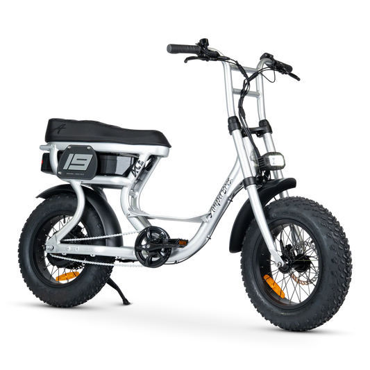 ACE-S MINI ELECTRIC BIKE