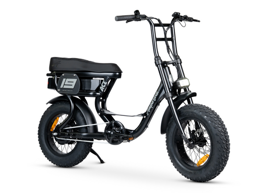 ACE MINI ELECTRIC BIKE