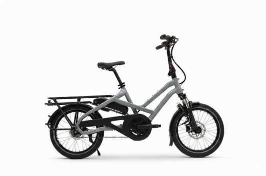 Tern HSD P5i