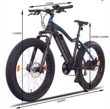 Load image into Gallery viewer, NCM Aspen Plus Fat E-Bike
