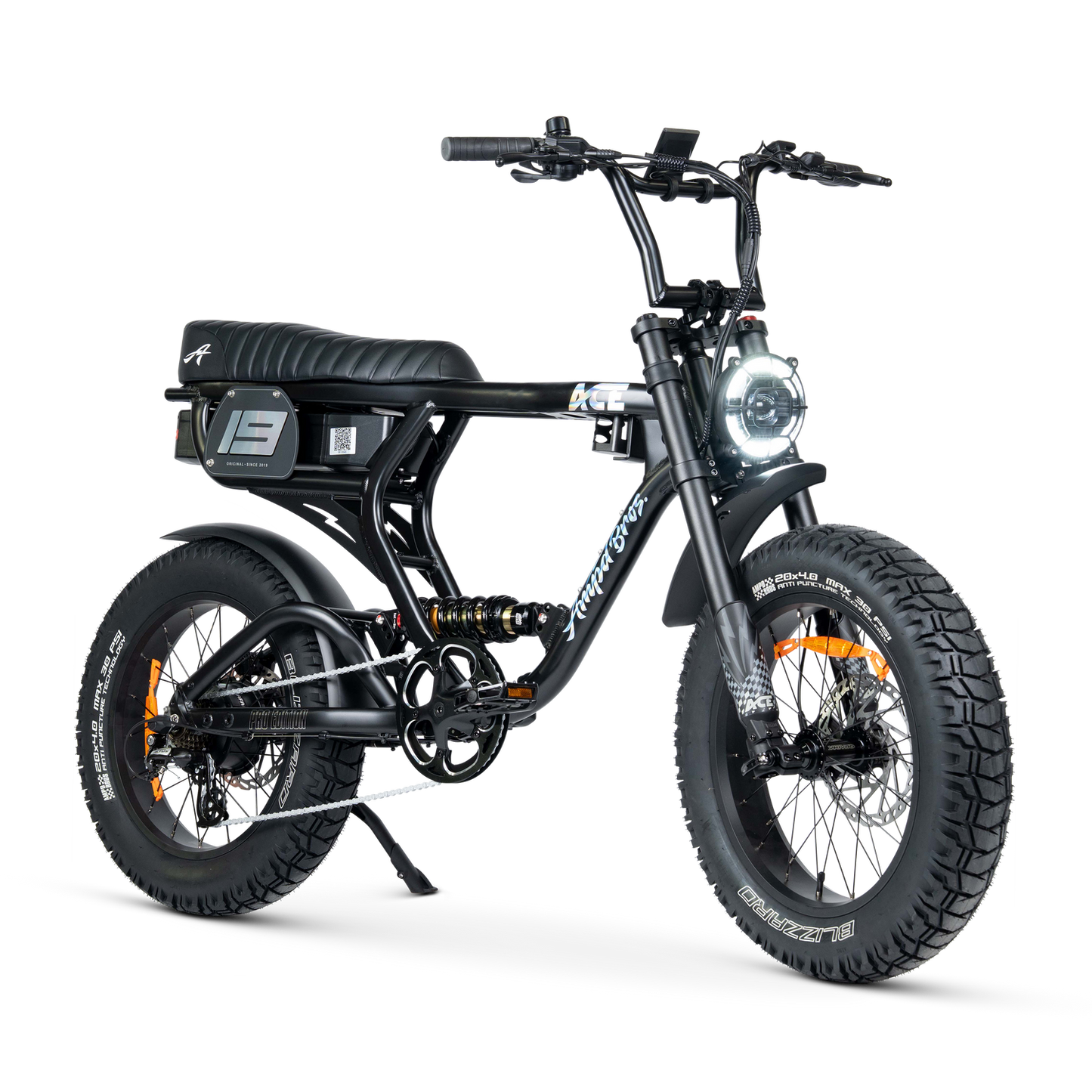 ACE PRO Electric Bike