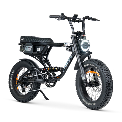 ACE PRO Electric Bike