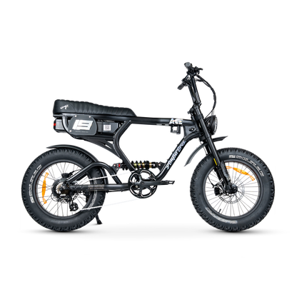 ACE PRO Electric Bike