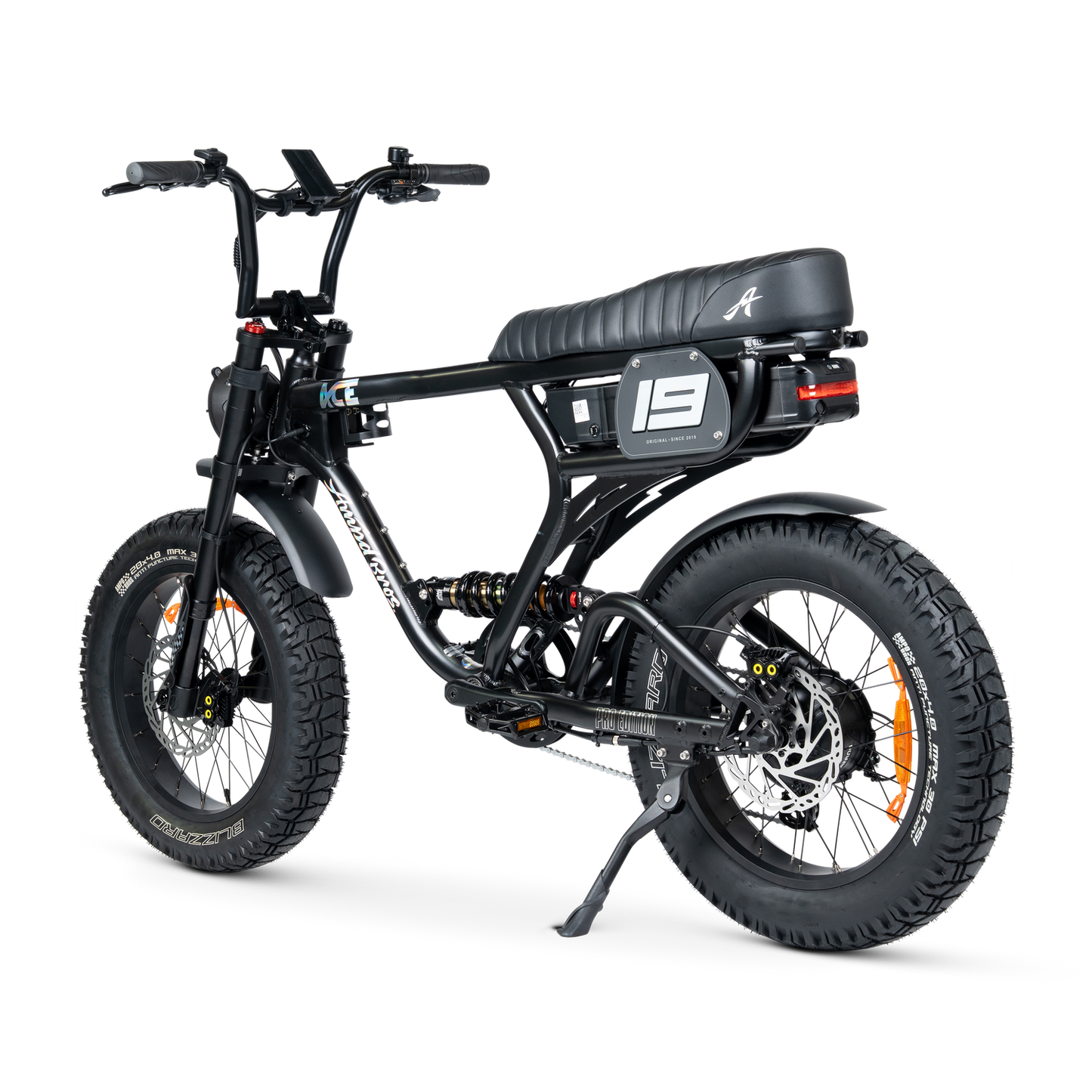 ACE PRO Electric Bike