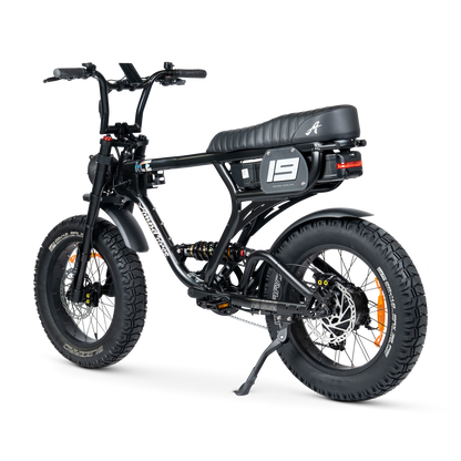 ACE PRO Electric Bike