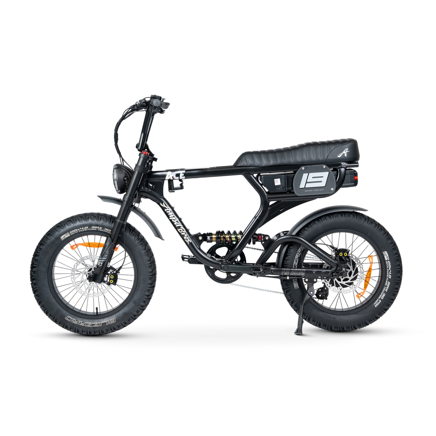ACE PRO Electric Bike