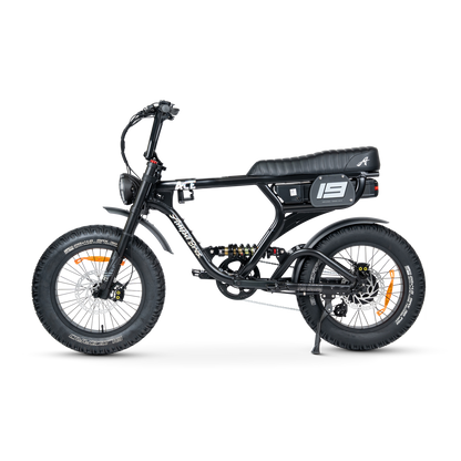 ACE PRO Electric Bike