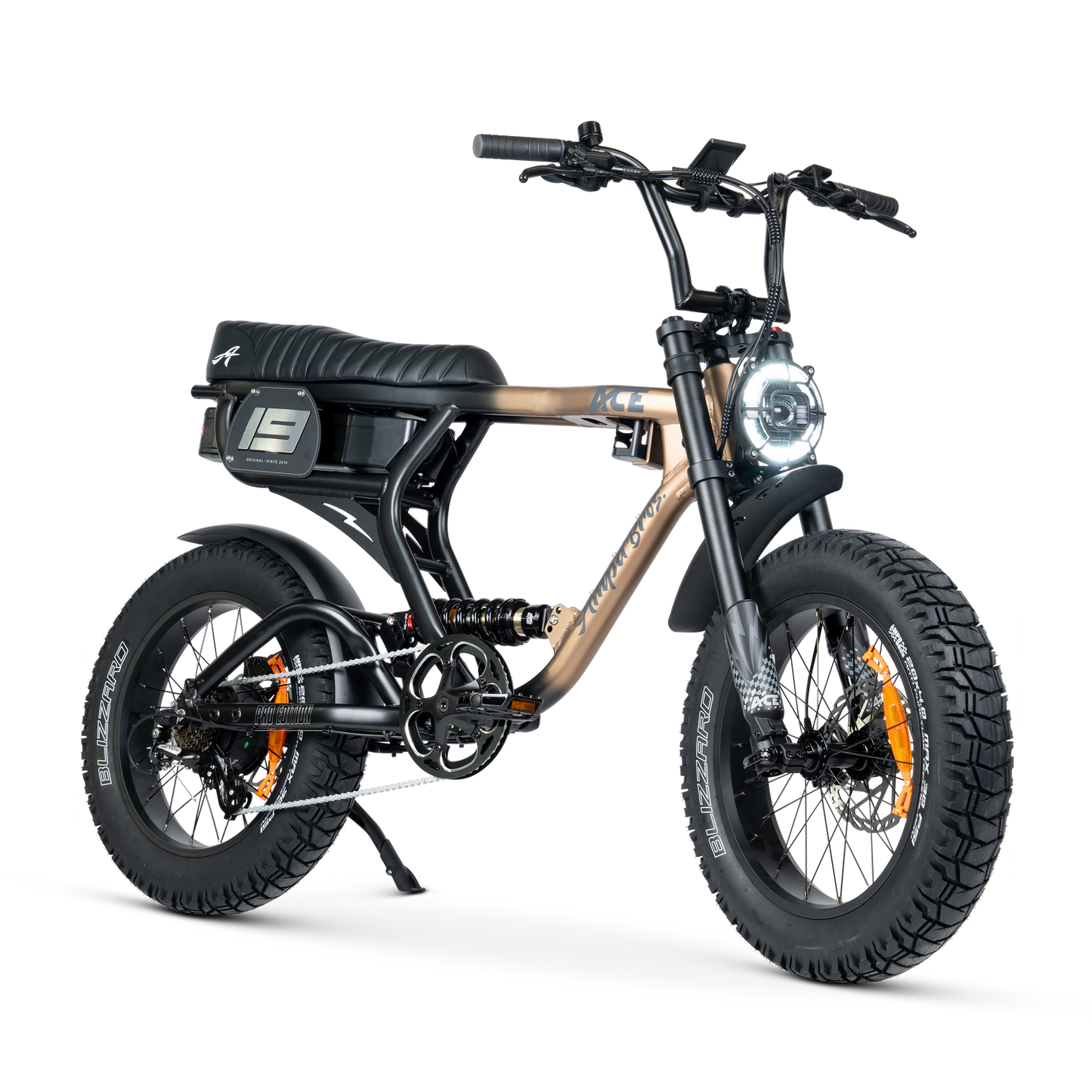 ACE PRO Electric Bike