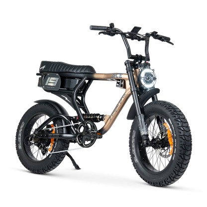 ACE PRO Electric Bike