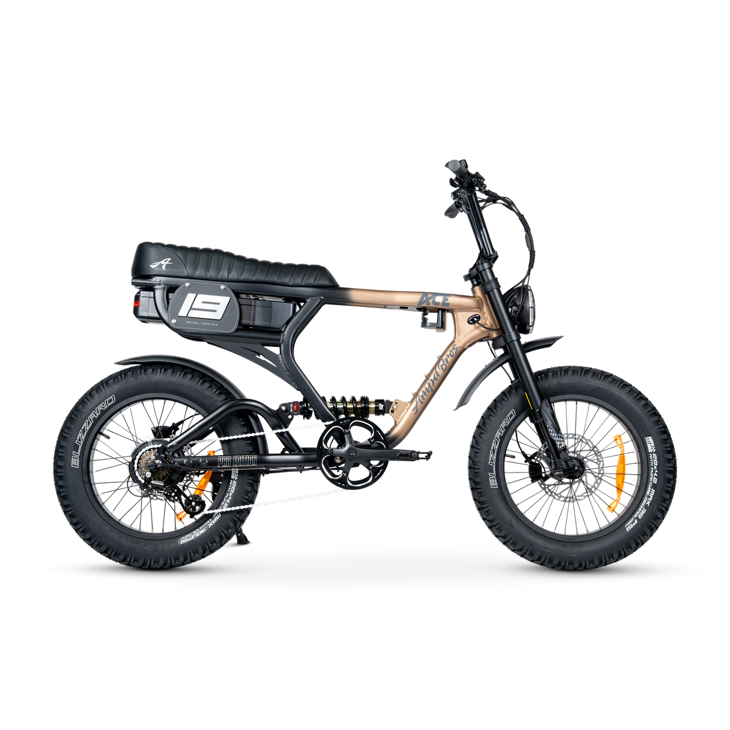 ACE PRO Electric Bike