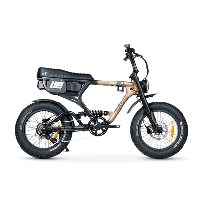ACE PRO Electric Bike