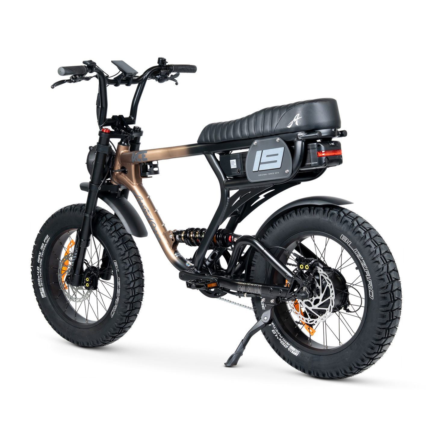 ACE PRO Electric Bike