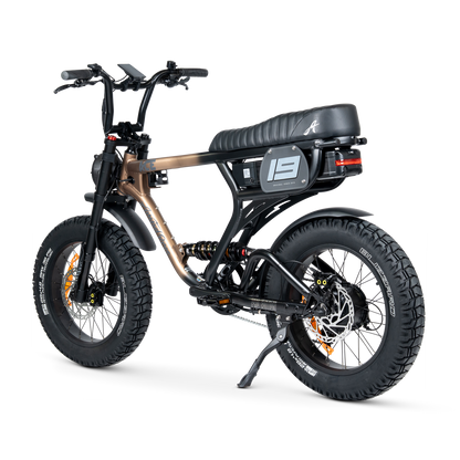 ACE PRO Electric Bike