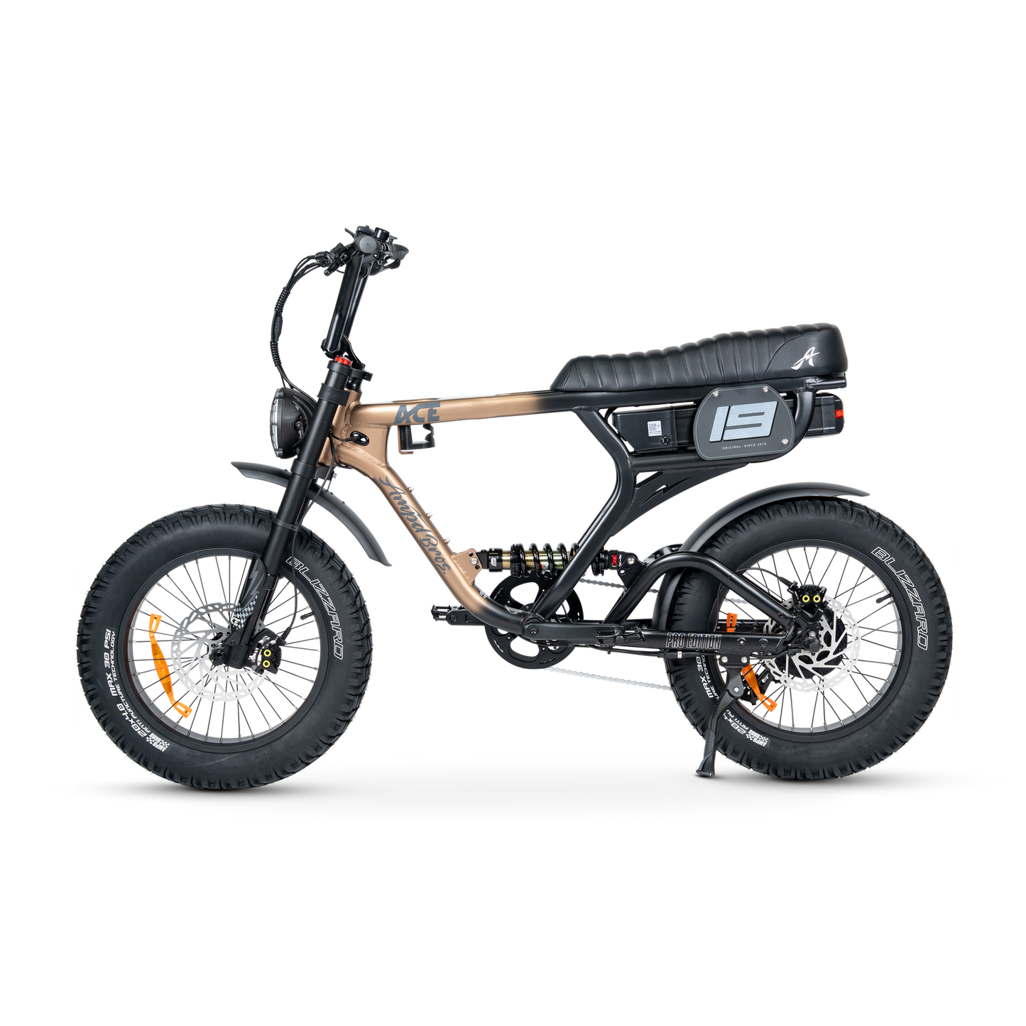ACE PRO Electric Bike