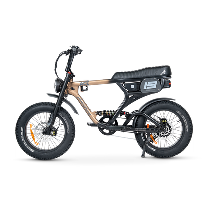 ACE PRO Electric Bike