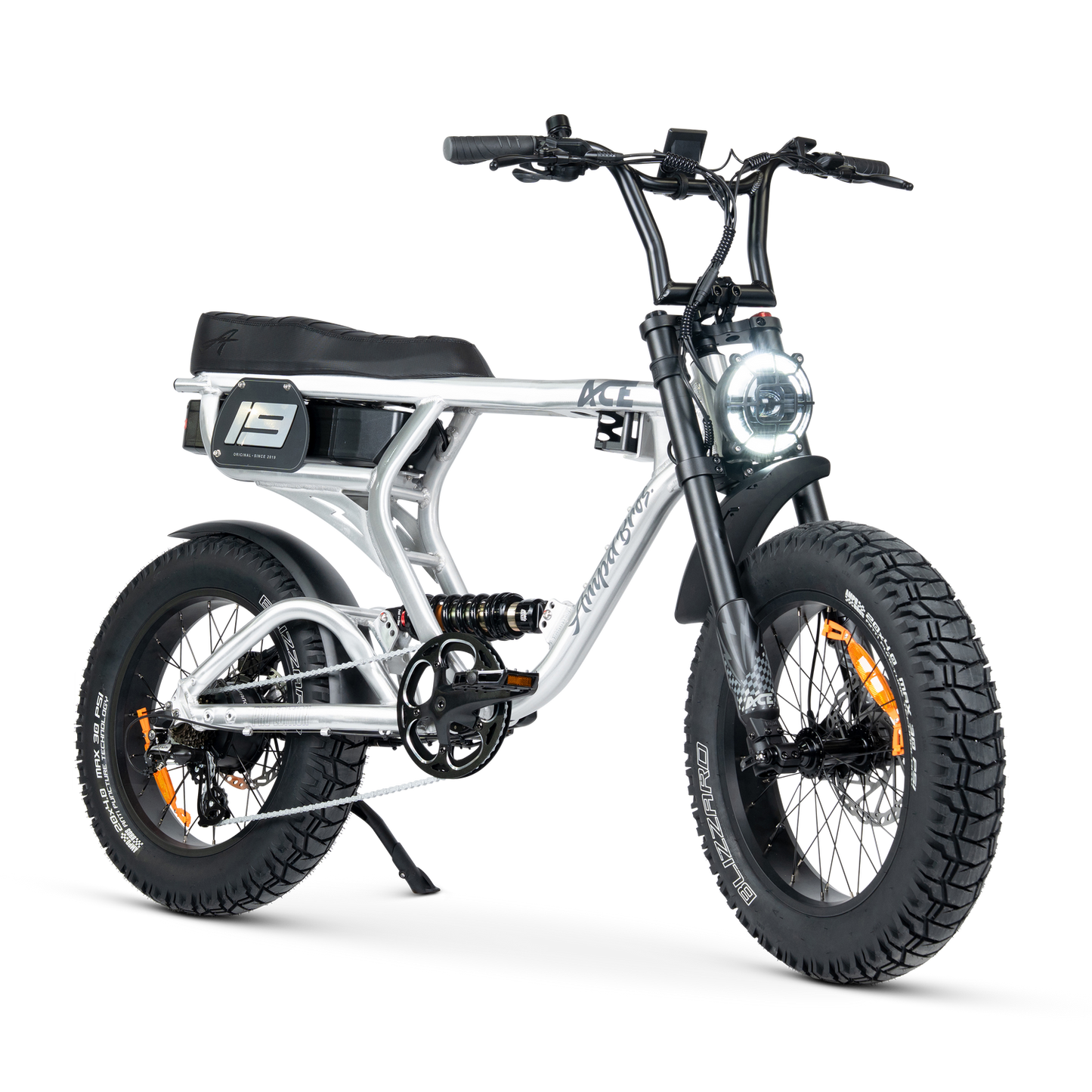 ACE PRO Electric Bike