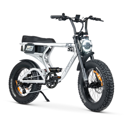 ACE PRO Electric Bike