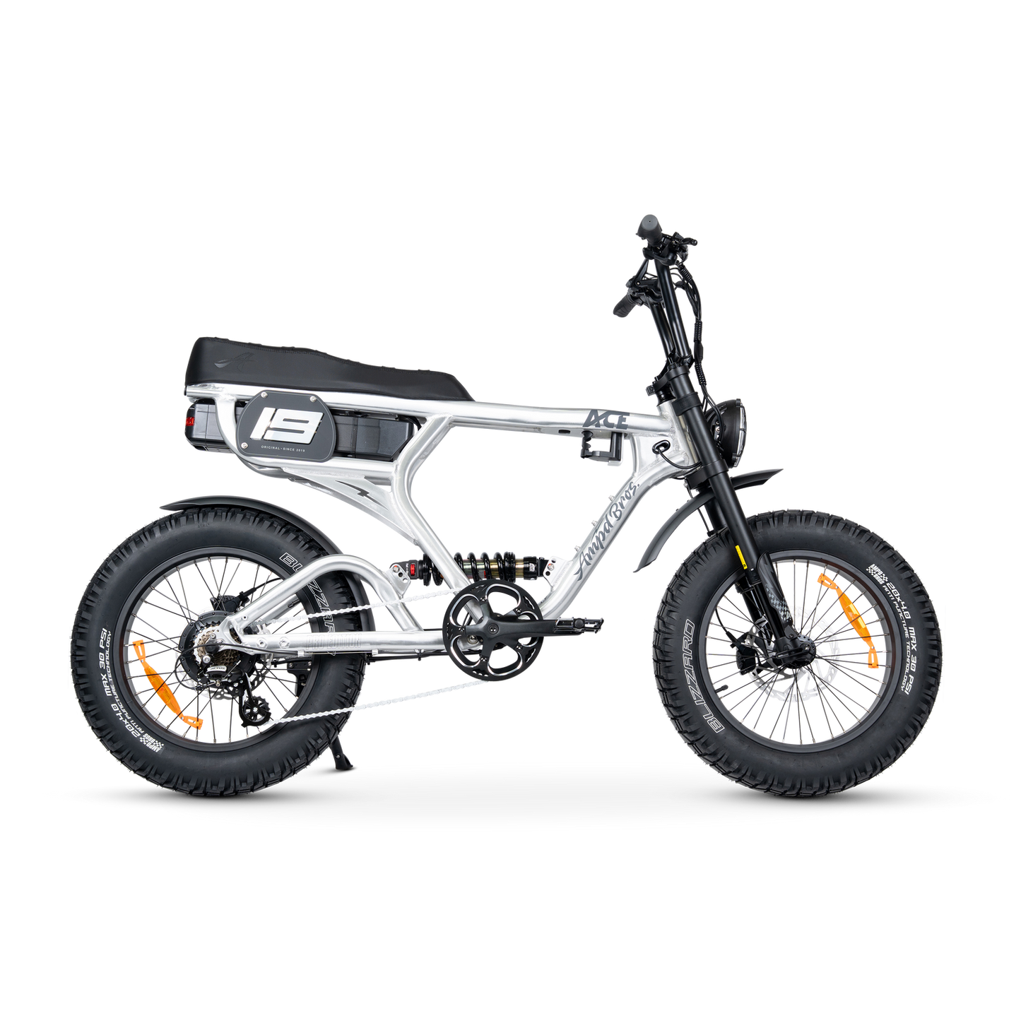 ACE PRO Electric Bike