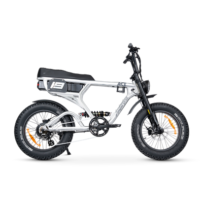 ACE PRO Electric Bike
