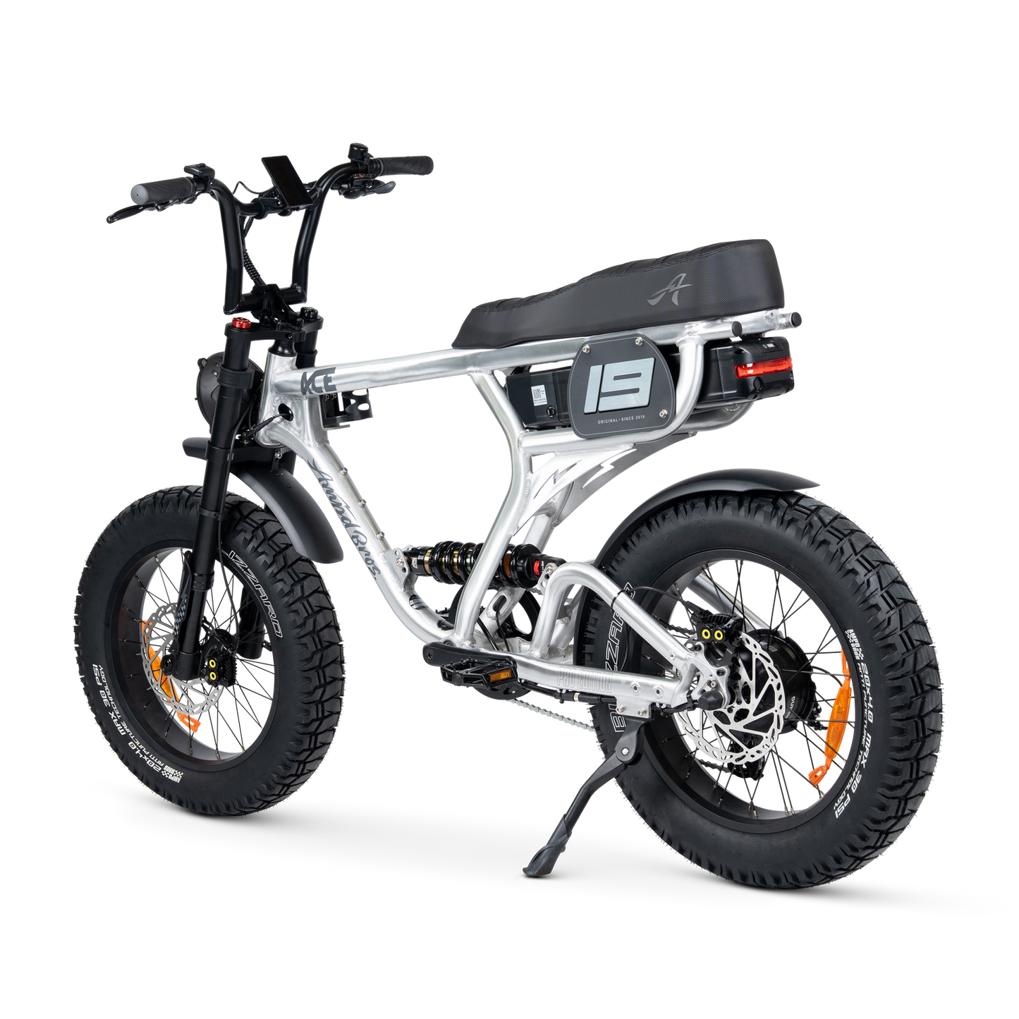 ACE PRO Electric Bike