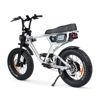 ACE PRO Electric Bike