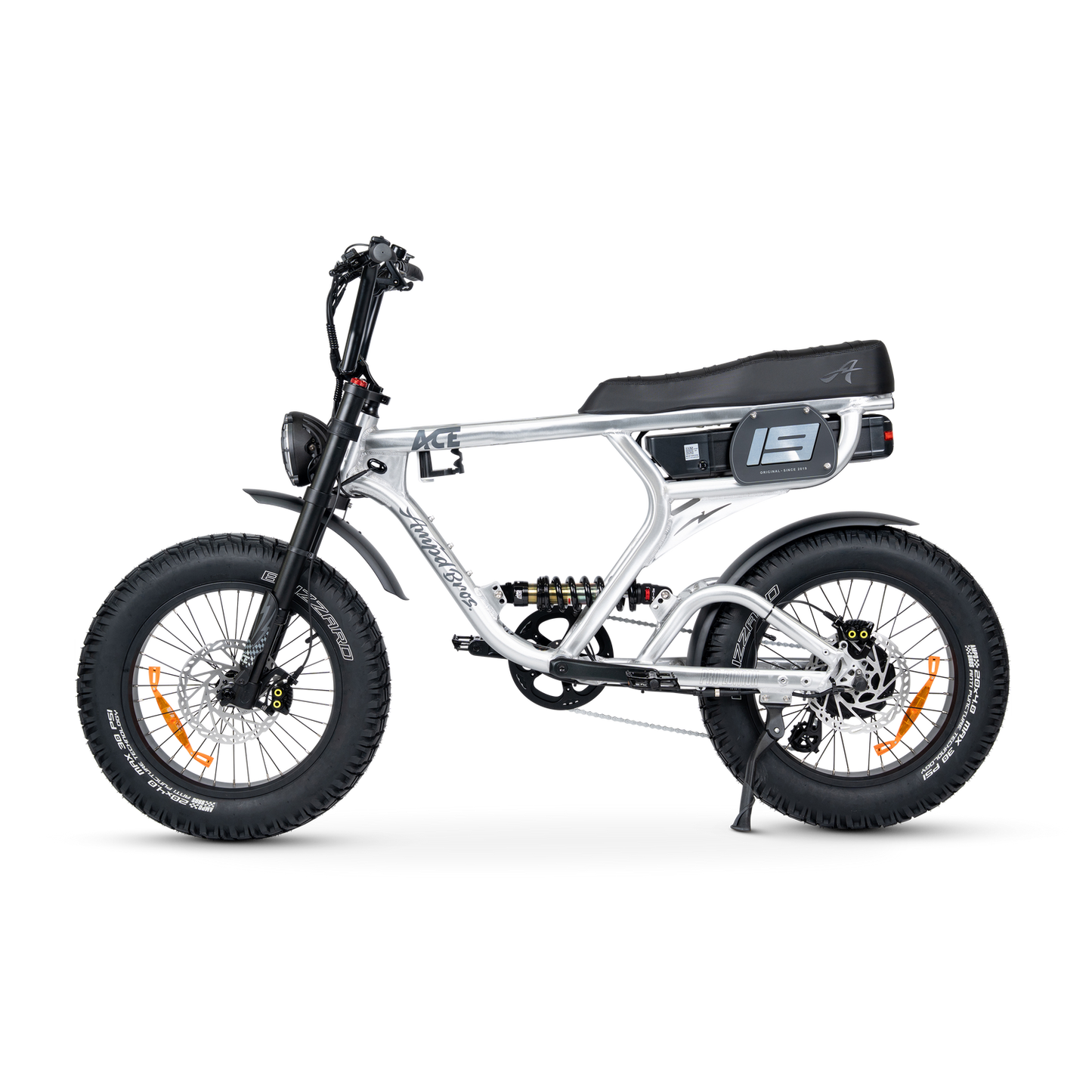 ACE PRO Electric Bike