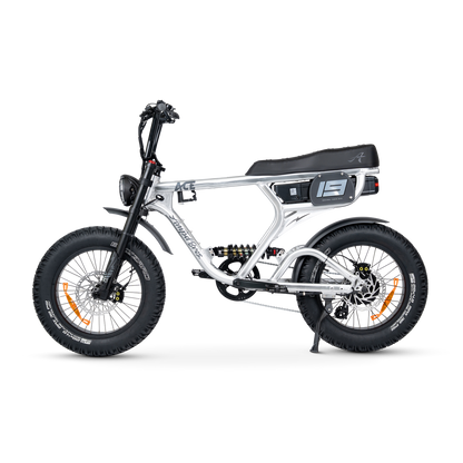 ACE PRO Electric Bike