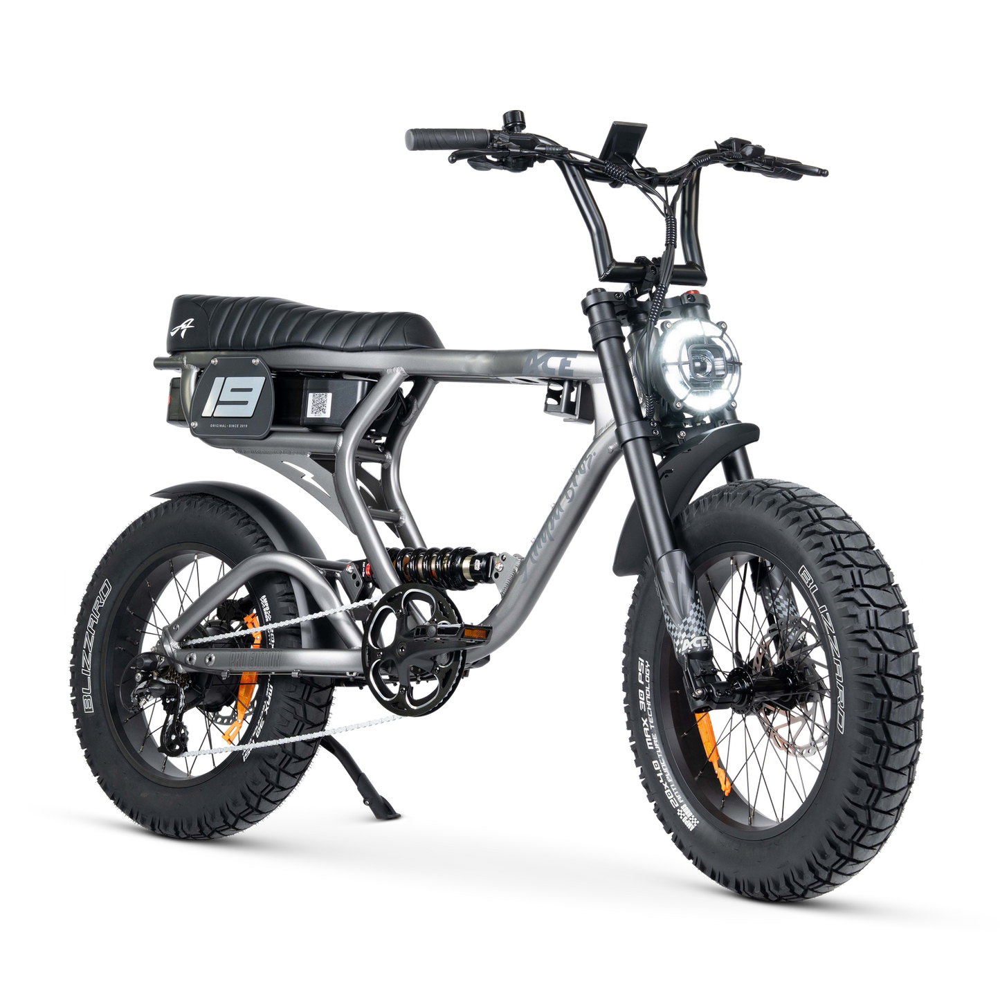ACE PRO Electric Bike