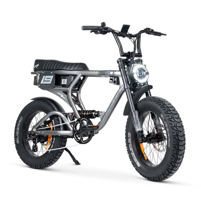 ACE PRO Electric Bike