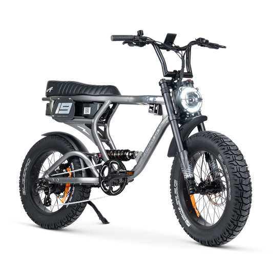 ACE PRO Electric Bike