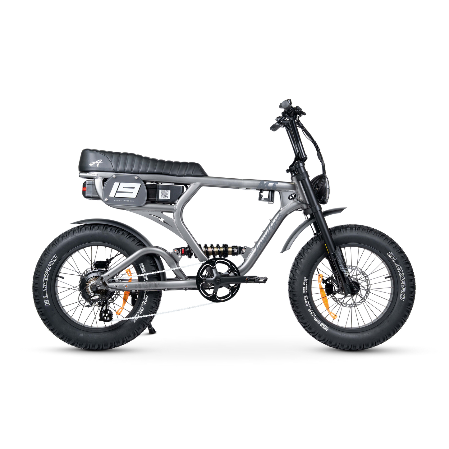 ACE PRO Electric Bike