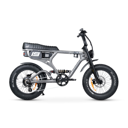 ACE PRO Electric Bike