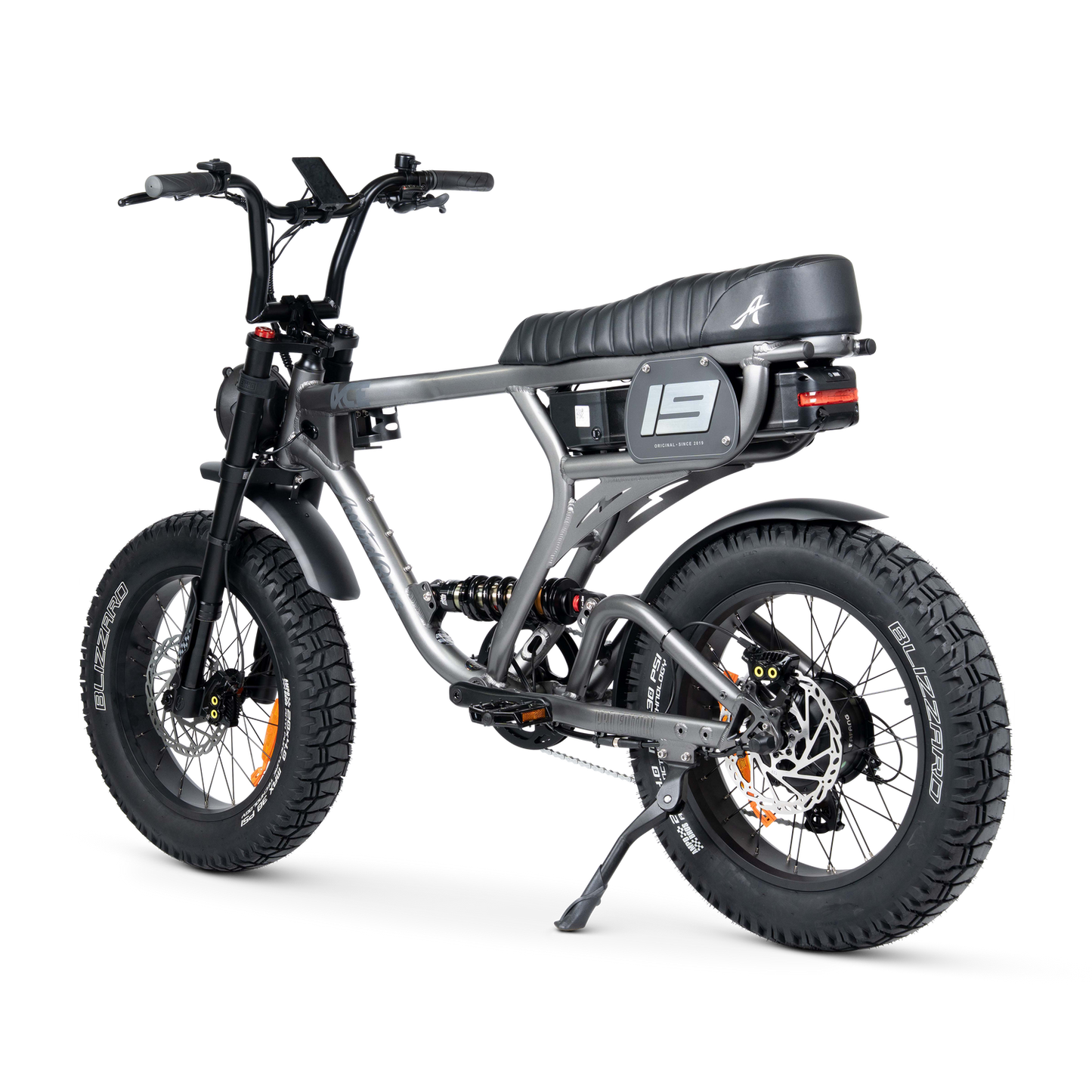 ACE PRO Electric Bike