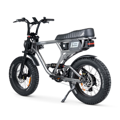 ACE PRO Electric Bike