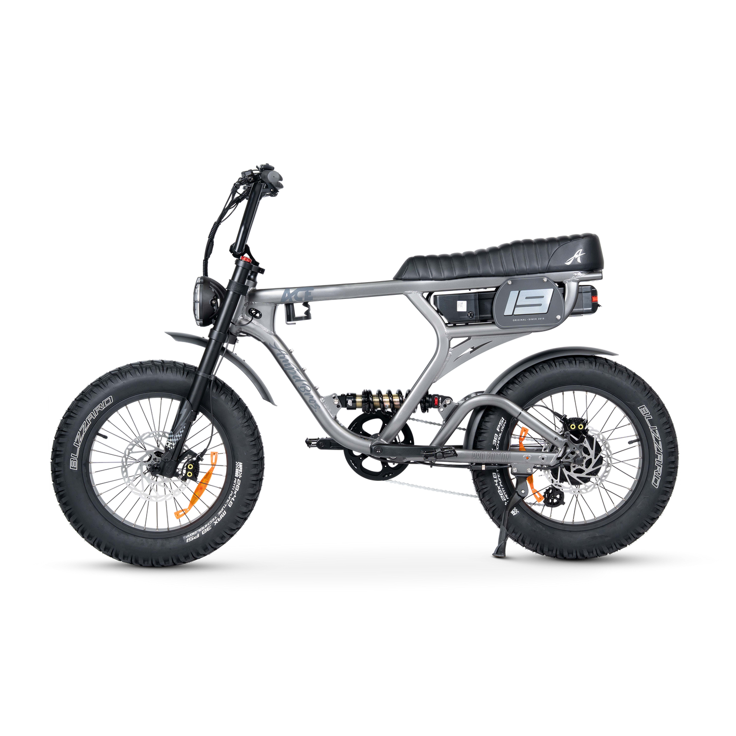ACE PRO Electric Bike