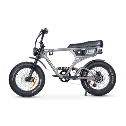 ACE PRO Electric Bike