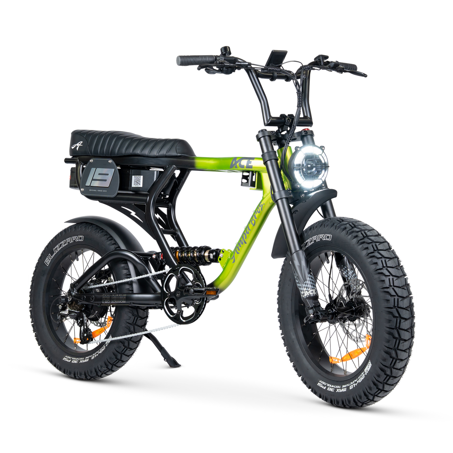 ACE PRO Electric Bike