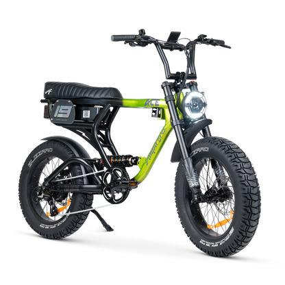 ACE PRO Electric Bike