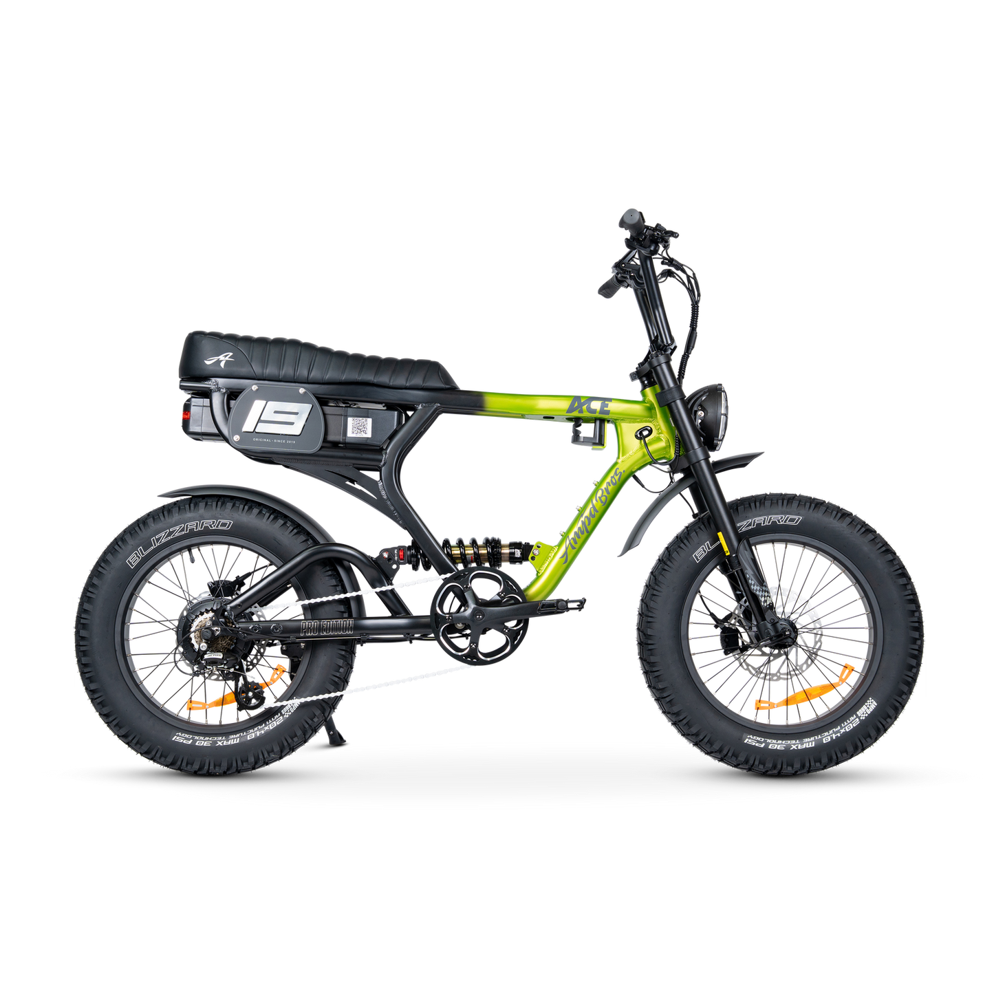 ACE PRO Electric Bike