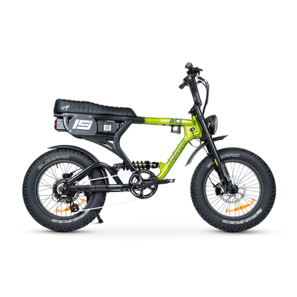 ACE PRO Electric Bike