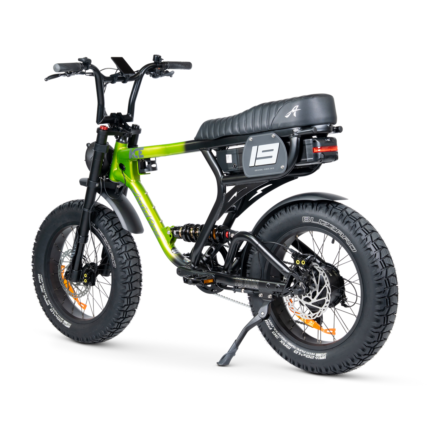 ACE PRO Electric Bike
