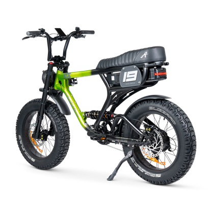ACE PRO Electric Bike