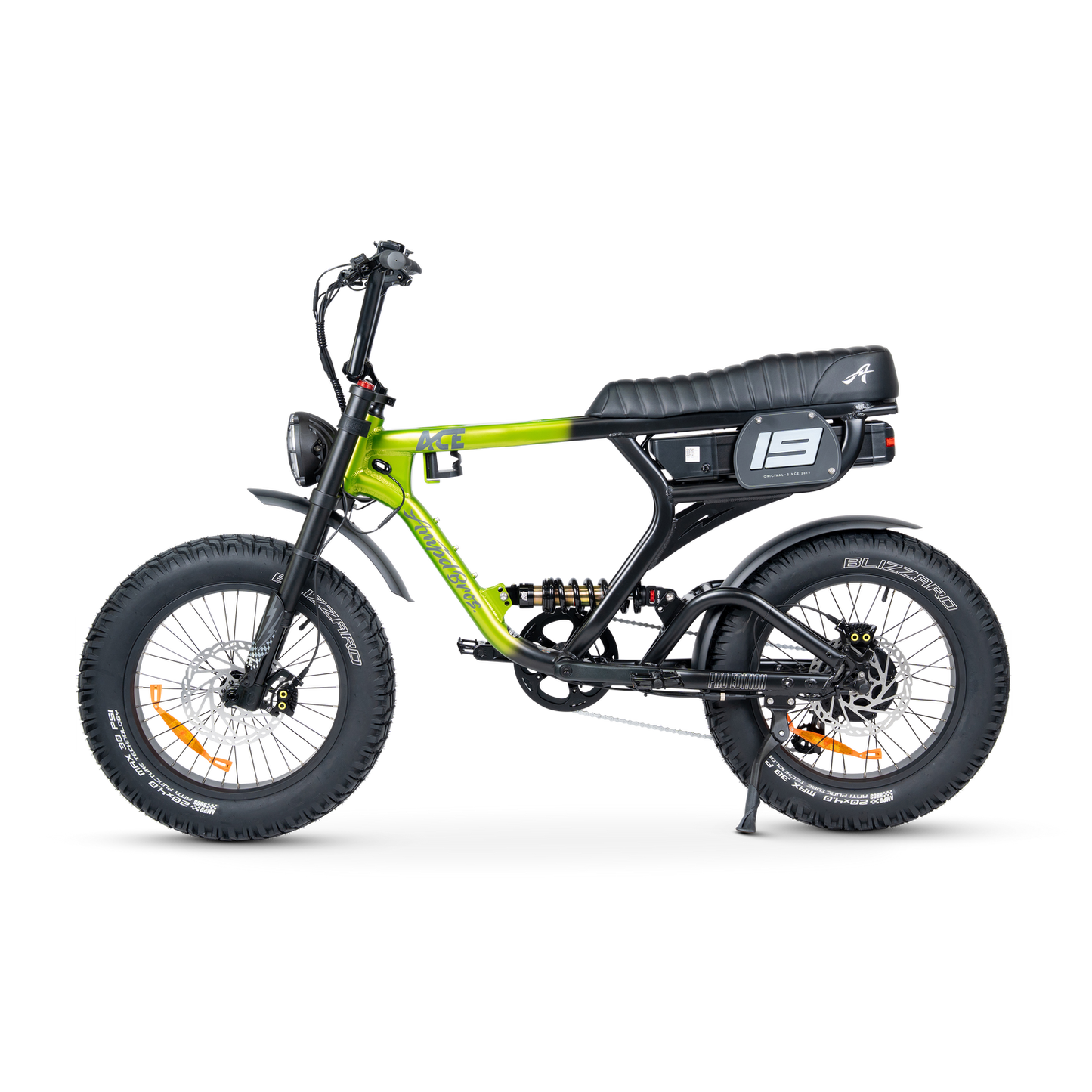 ACE PRO Electric Bike