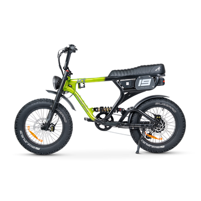ACE PRO Electric Bike