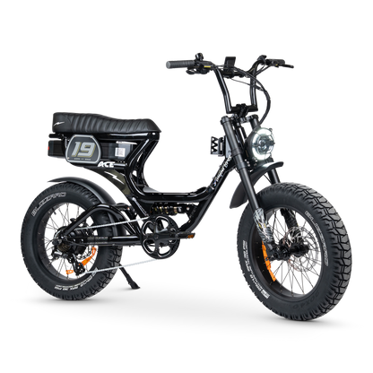ACE PRO Electric Bike