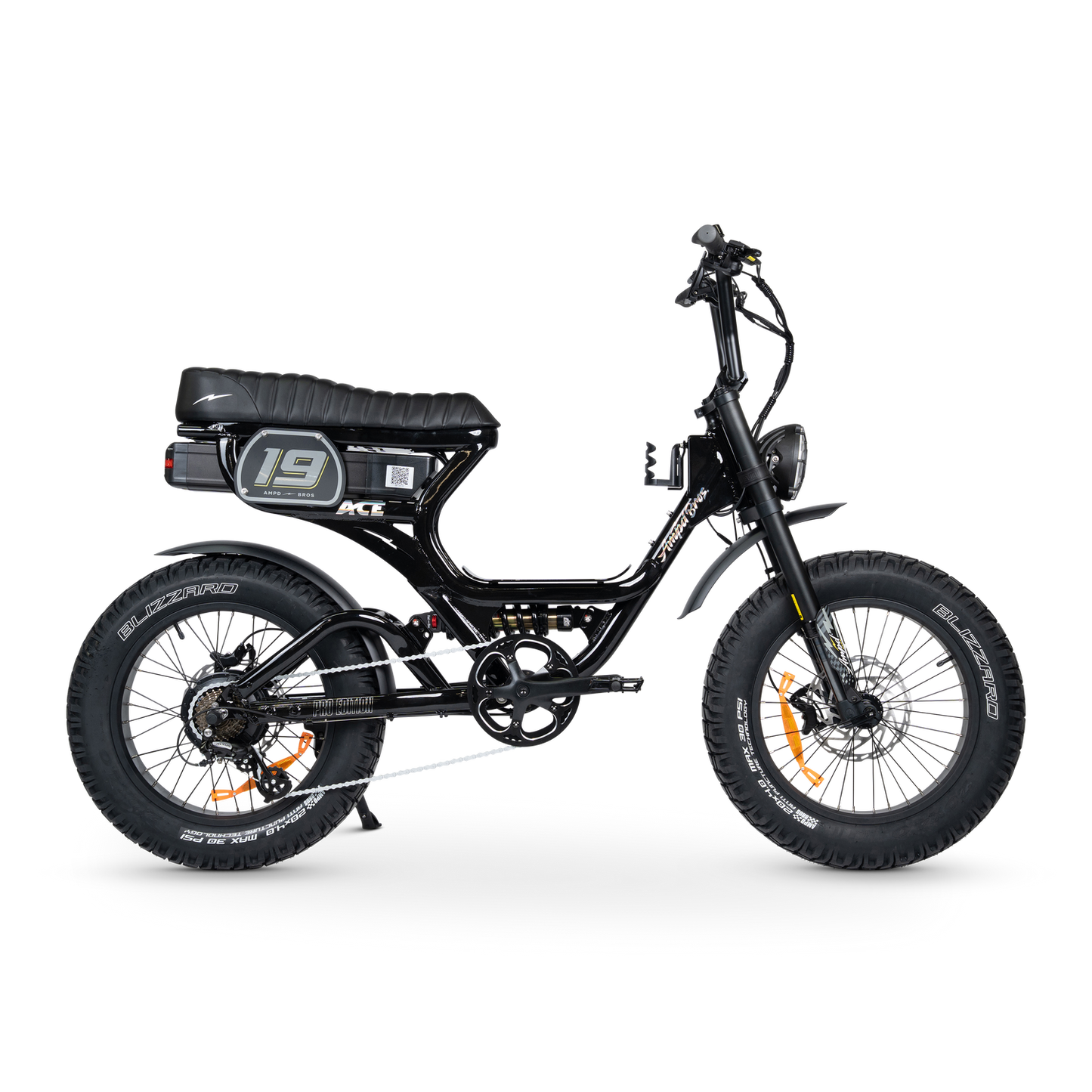 ACE PRO Electric Bike
