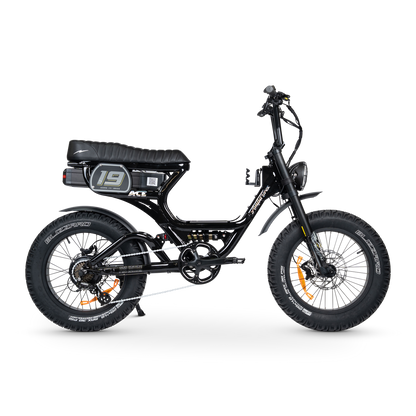 ACE PRO Electric Bike