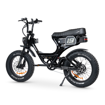 ACE PRO Electric Bike